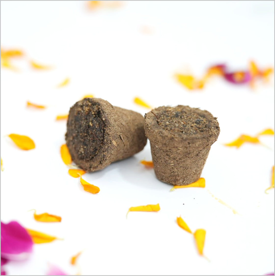 Devatri Hawan Cups