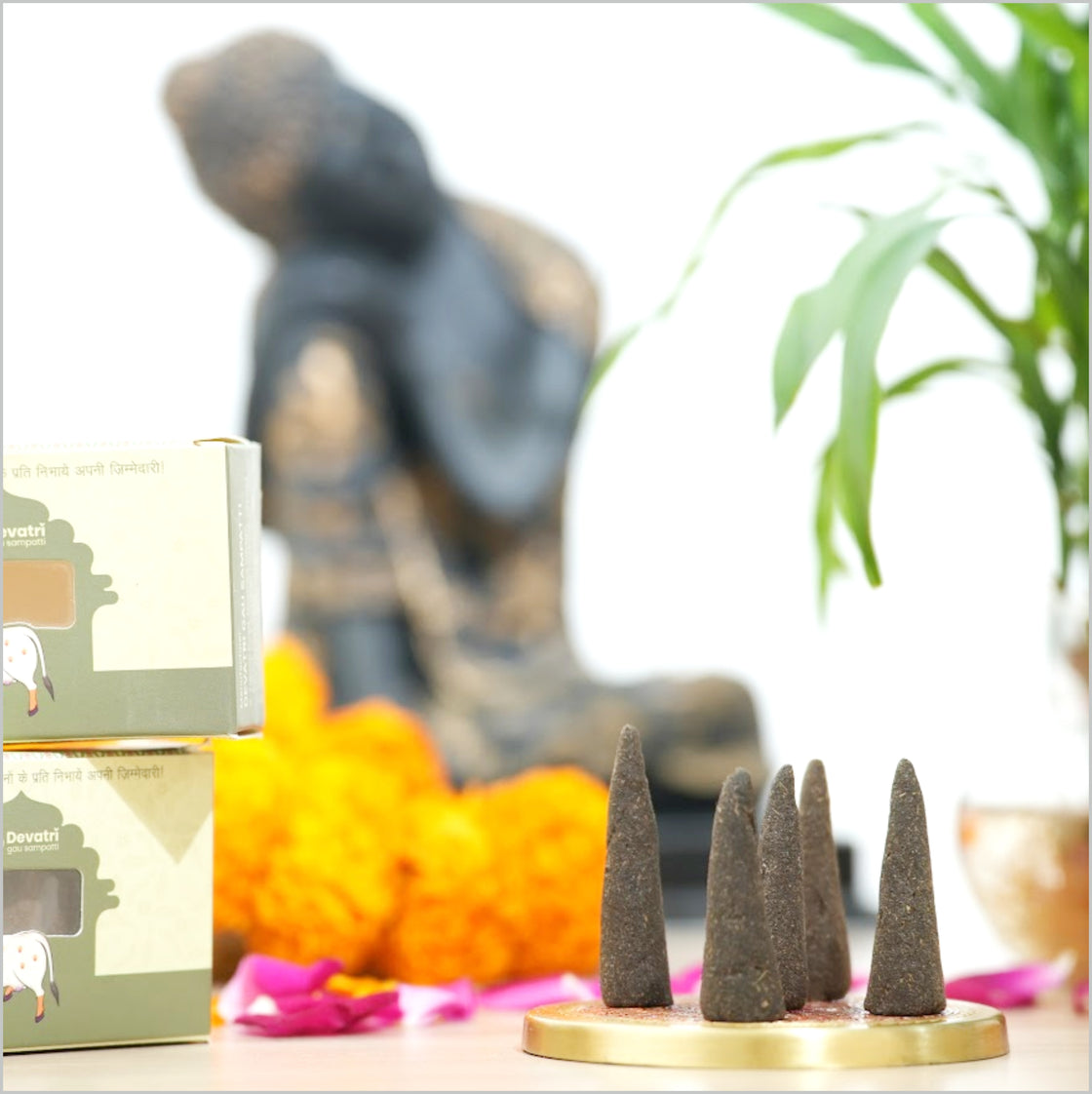 Devatri Incense Cones