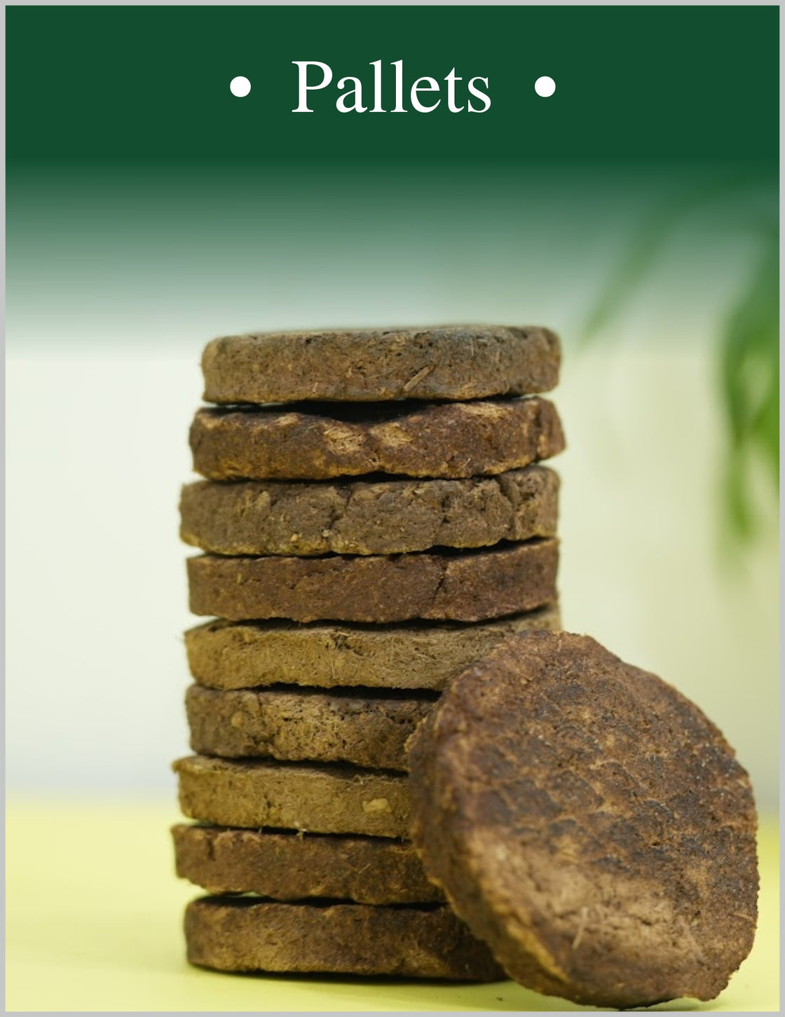 Devatri Cow Dunk Cakes