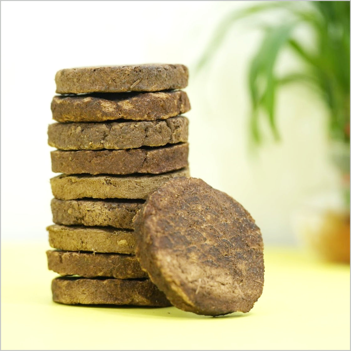 Devatri Cow Dunk Cakes