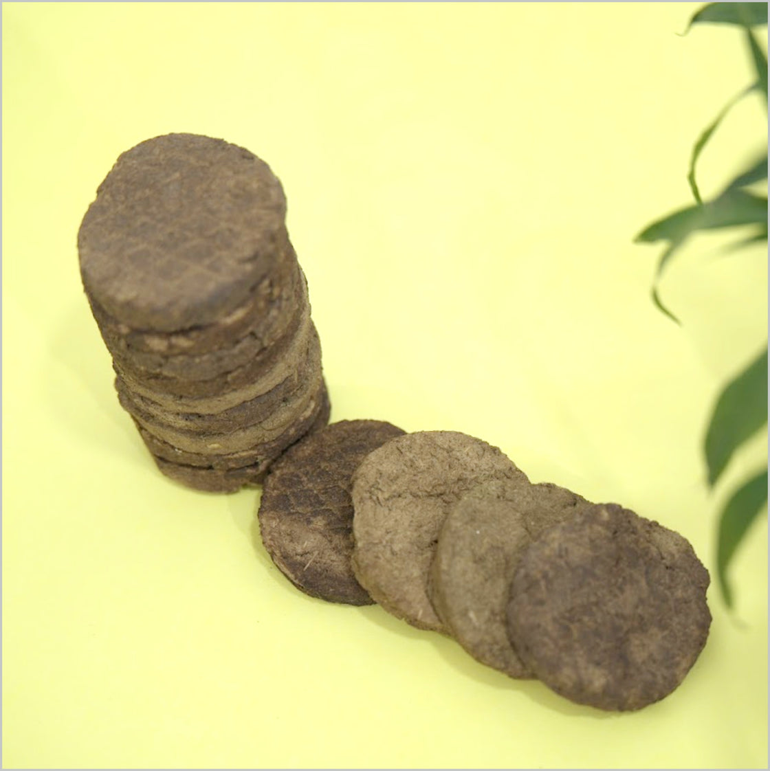Devatri Cow Dunk Cakes