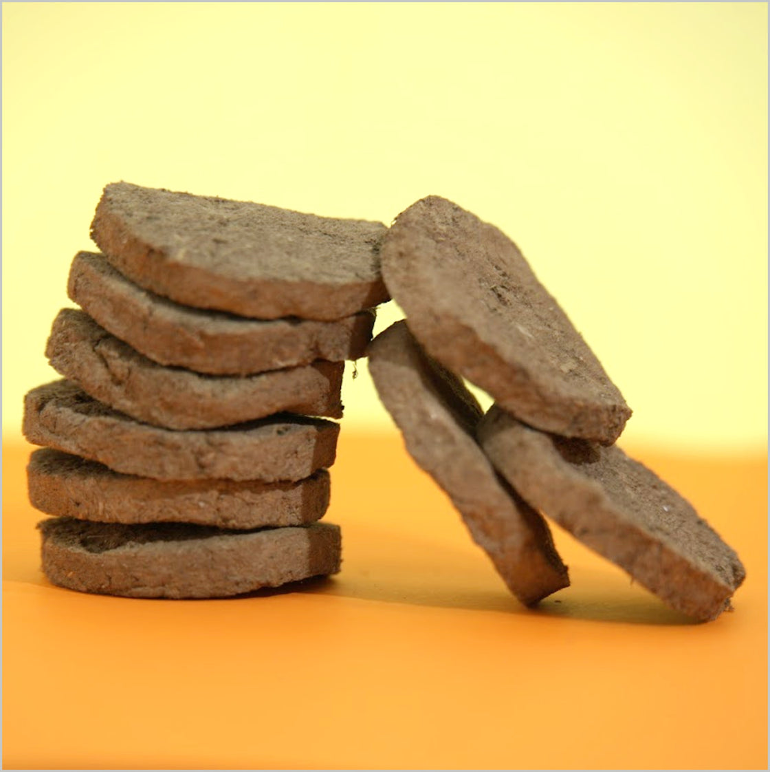 Devatri Cow Dunk Cakes